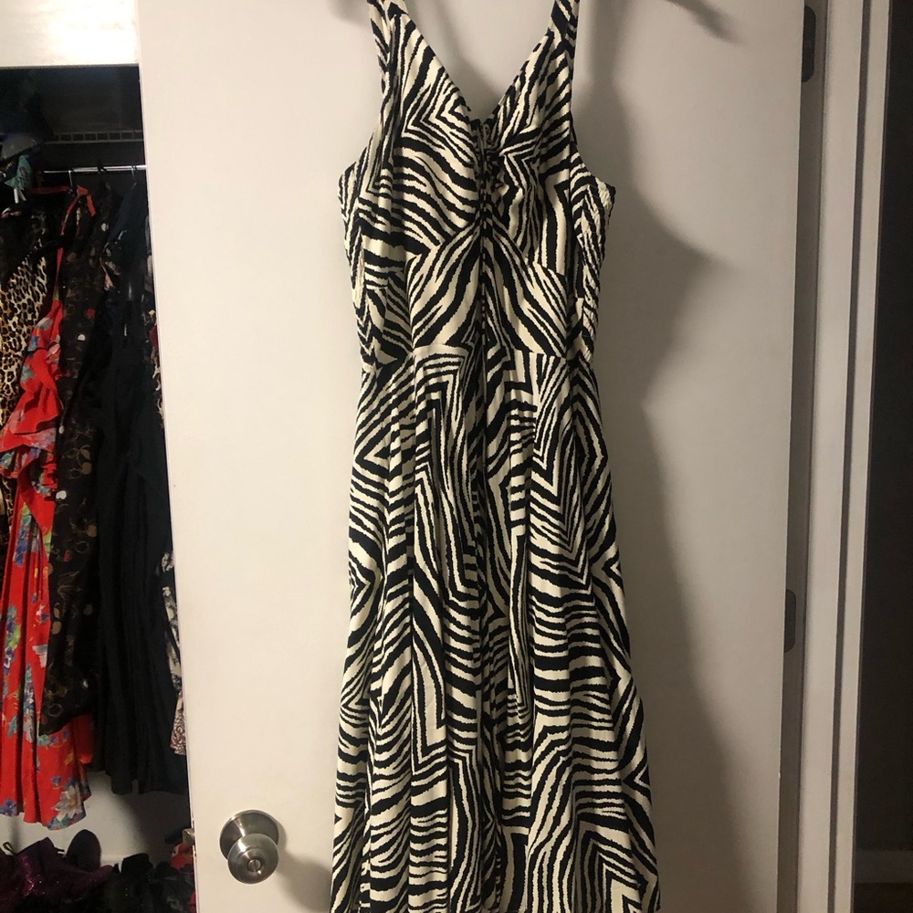 Trashy Diva Zebra L’amour size 10